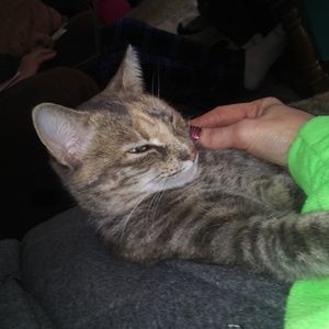 Meet your Posher, Krystal